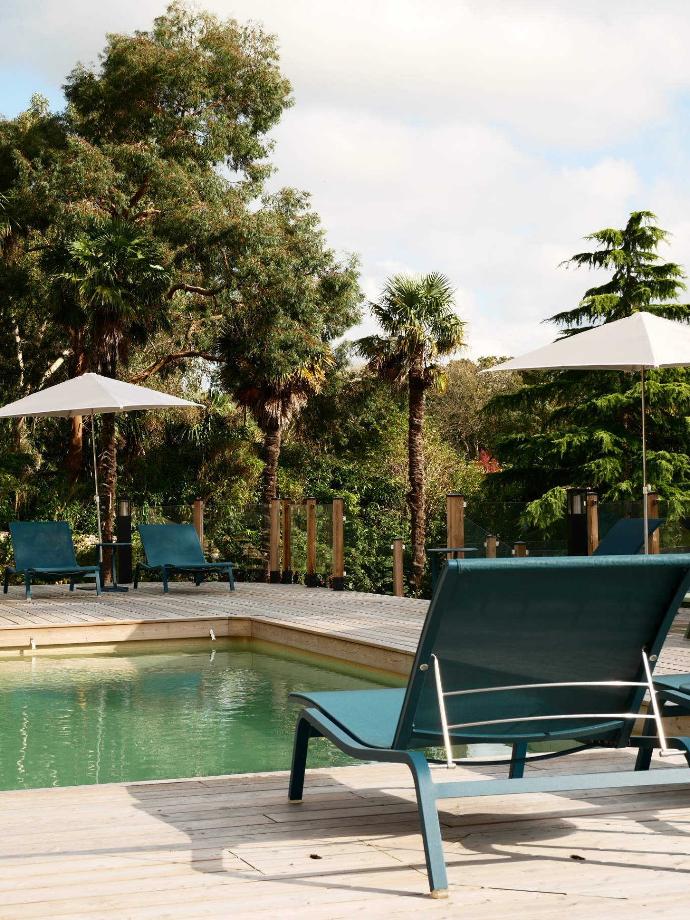Piscine et terrasse bois entourées de palmiers